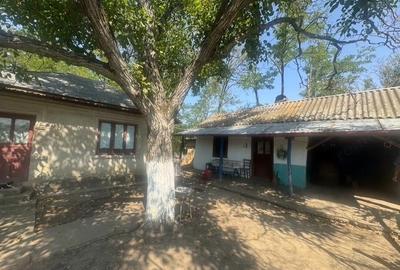 Casă cu 3 camere cu Teren 2800 Mp în Floroaica - 4