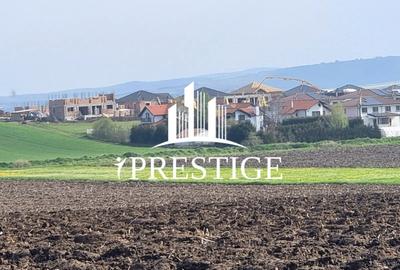 Teren agricol extravilan de 10000 mp, în Șura Mică - 3