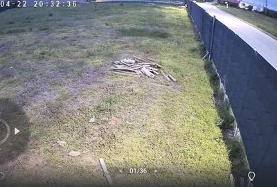 Spațiu comercial, în Mogoșoaia - 11