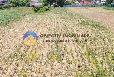 Casa traditionala Bodesti - 11