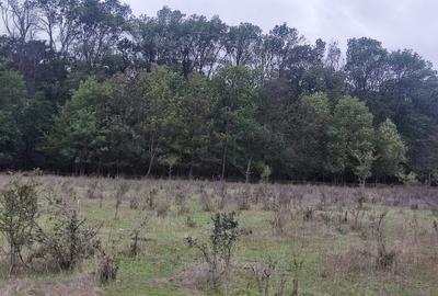 Teren intravilan  950 mp lângă pădurea  Pipera , Oxford Garden, Voluntari - 2