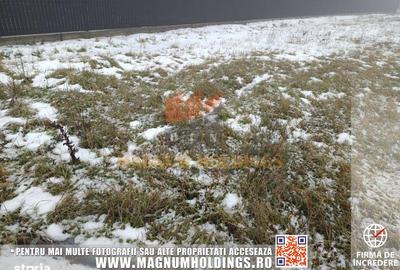 Teren de 3500 mp, în Bradu - 3
