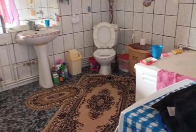 Casă cu Teren 1500 Mp în Mircea Vodă - 3