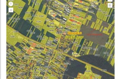 Vanzare Teren Magurele 3702 mp - 1