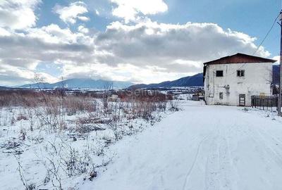 Teren Rezidential Zarnesti - 1