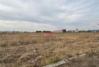 Spatiu industrial/teren pietruit Magurele - Atomistilor, Il Spatiu industrial/teren pietruit Magurele - Atomistilor, Il - 2