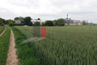 Teren Buftea cu iesire la lac - 5