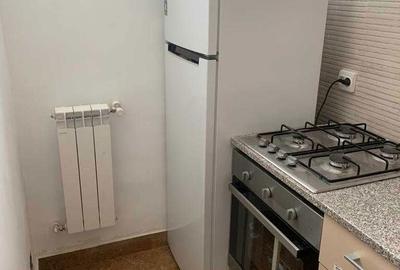 Garsonieră decomandată în Dosu Bricii - 2