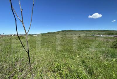 Teren Intravilan zona Industriala - 6