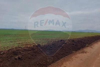 Comision 0 %! Teren extravilan, 21,175 mp Harman - 1