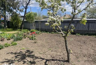 Casă cu 4 camere cu Teren 200 Mp în Gropnița - 6