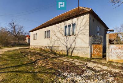 Casă cu 3 camere cu Teren 719 Mp în Tauț - 1