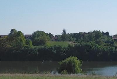 TEREN INTRAVILAN 1950 MP MOARA VLASIEI LA LAC - 7