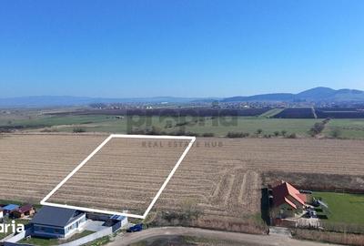 Teren de 6400 mp, în Stupini - 7