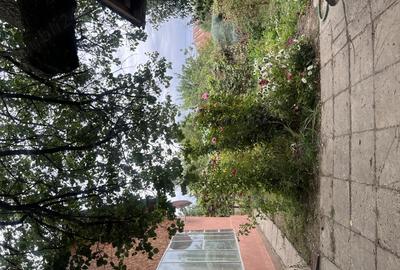 Casa de vanzare cartier Magurele Turnu Magurele Casa de vanzare cartier Magurele Turnu Magurele - 8