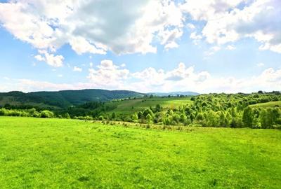 25.000 mp TEREN IDEAL AFACERE TURISM – AMENAJARE LAC DE PESCUIT, CIUCEA - CLUJ - 28