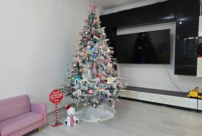 Casa individuala la intrare in Sag, teren de 1.800 mp,  mobilata - 23