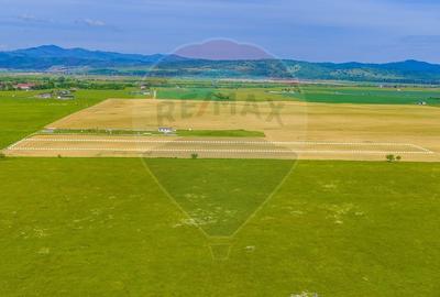 Teren agricol extravilan de 12300 mp, în Glăjărie - 4