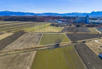 Teren agricol extravilan de 3700 mp, în Lunca Calnicului - 14