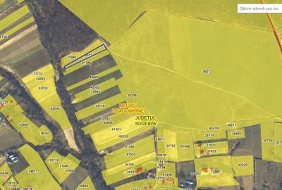 Teren de 2000 mp, în Mitocu Dragomirnei - 3