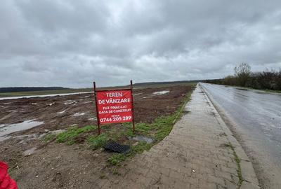 Teren de 4100 mp, în Dragomirești-Deal - 3