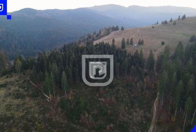 Teren situat in Frasin | BUCOVINA - 6