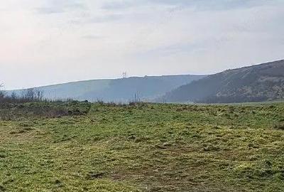 Teren cota parte 1/12 Deleni, ID: R2662164 - 5