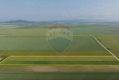 Teren 42,000mp Tarlungeni / Strada Izvor - 4