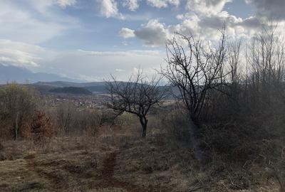 Teren intravilan 3400mp - 11