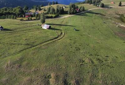 Teren de 1113 mp, în Paltin - 5