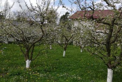 Teren de 750 mp, în Central - 1