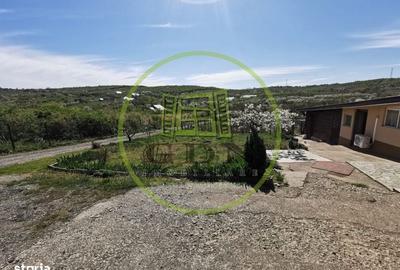 Casă cu 2 camere în Sântandrei - 1