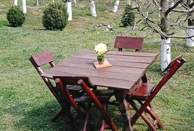 Casă cu 3 camere cu Teren 2800 Mp în Boțești - 10