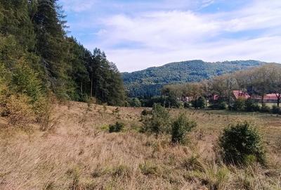 Teren in zona Bradet-Sacele - 7