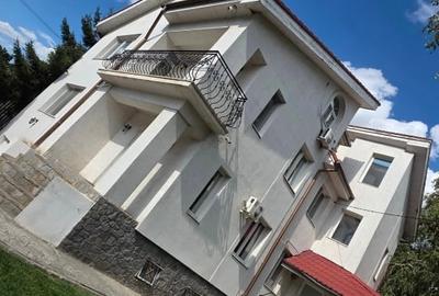 Cladire Stradala Pozitie Excellenta Pe  Blvd. George Cosbuc) - 4