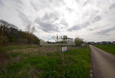 Teren Construcții intravilan de 3200 mp, în Snagov - 10