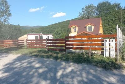 Vila P+M  cu terasa +container si teren 1250mp -Valea Neagra - 10