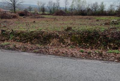 Unguras, 20 ari teren - 3