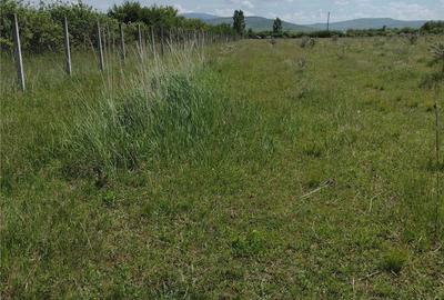 Teren de 50000 mp, în Jelna - 7