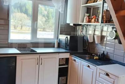 Casă cu 2 camere cu Teren 250 Mp în Arieșeni - 8