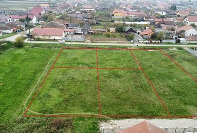 Teren de 600 mp, în Botizului - 2