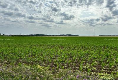 Dobroesti Teren 15.000 Mp Bd. Nordului Deschidere 41 ml - 3