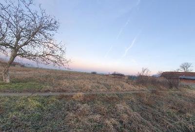 Spațiu comercial, în Cenad - 2