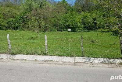 Teren de 2070 mp, în Vârfuri - 6
