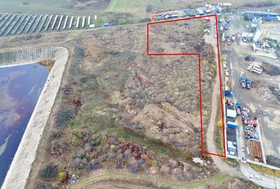 Teren 7.919mp com. Vladimirescu jud. Arad - 4