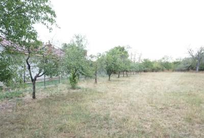 Teren de 1777 mp, în Buda (Ariceștii Rahtivani)