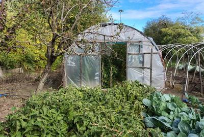 Casa si teren intravilan 3700mp in comuna Singureni Giurgiu - 4