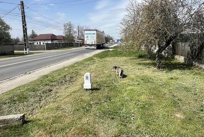 Casă cu 4 camere cu Teren 800 Mp în Crevedia Mică - 4