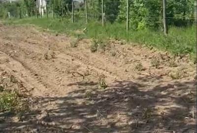 Teren de vanzare Comuna Comana-Giurgiu