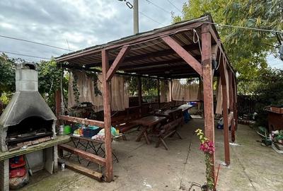 Casă cu 3 camere în Fierbinții de Jos - 3